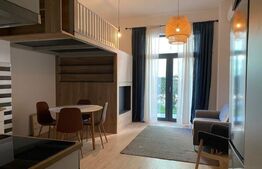 Studio 1 camera supraetajat -Copou 