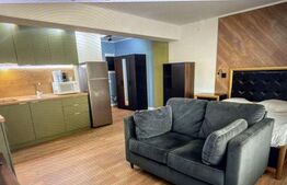 inchiere studio | zona Copou-parcul expoziției