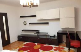 Apartament 1 camera, 46 mp, Carrefour Market Arcu
