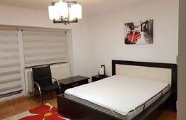 Apartament 1 camera, 46 mp, Carrefour Market Arcu