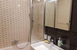 Apartament 1 camera, 46 mp, Carrefour Market Arcu