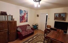 Apartament 3 camere, 70 mp - PET FRIENDLY - Tatarasi