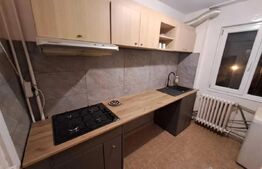 Apartament 3 camere, 70 mp - PET FRIENDLY - Tatarasi