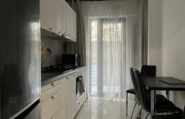 Apartament de inchiriat 2 camere, 67 mp, zona Pacurari-Valea Lupului 