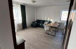 Apartament 2 camere, 40 mp, strada Mircea cel Batran