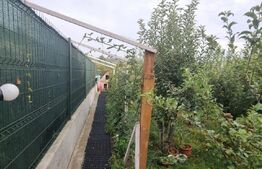 Duplex, 360 mp, curte libera -zona Plopii Fara Sot 