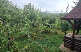 Duplex, 360 mp, curte libera -zona Plopii Fara Sot 