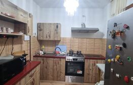 Duplex, 360 mp, curte libera -zona Plopii Fara Sot 