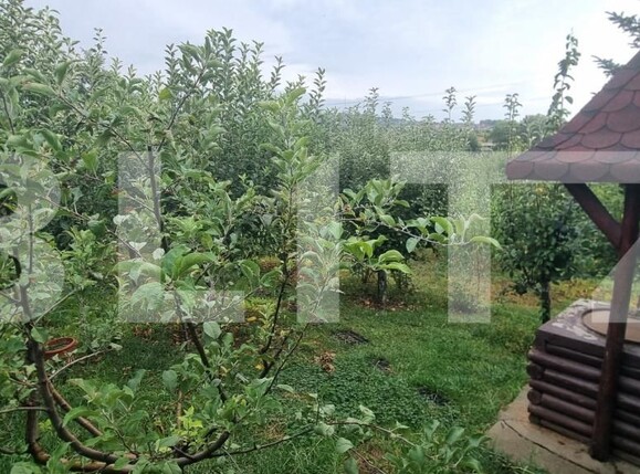 Casa de vânzare 3 camere Bucium - 177793CV | BLITZ Iași | Poza18