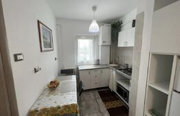 Apartament 1 camera, 40 mp - strada Sf. Lazar 
