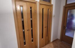 Apartament 1 camera, 50 mp, zona Pacurari