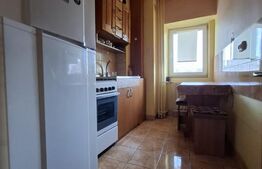 Apartament 1 camera, 50 mp, zona Pacurari