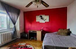 Apartament 1 camera, 50 mp, zona Pacurari