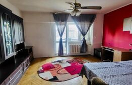 Apartament 1 camera, 50 mp, zona Pacurari