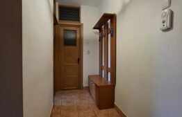 Apartament 1 camera, 50 mp, zona Pacurari