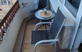 Apartament 1 camera, 50 mp, zona Pacurari