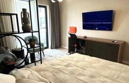 Apartament 1 camera, 45 mp, str Stradela Varianta Uzinei