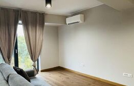 Apartament 1 camera, 37 mp, zona Palas Ultracentral