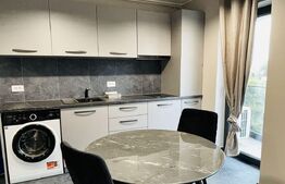 Apartament 1 camera, 37 mp, zona Palas Ultracentral