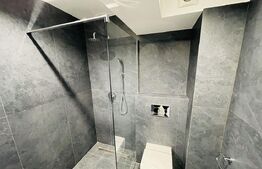 Apartament 1 camera, 37 mp, zona Palas Ultracentral