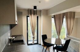 Apartament 1 camera, 37 mp, zona Palas Ultracentral