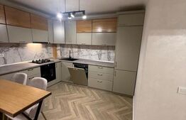 Apartament 2 camere, 56 mp, zona Pacurari