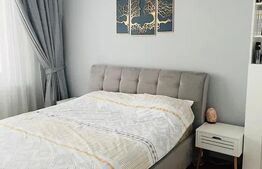 Apartament 3 camere, 68 mp, zona Valea Lupului 