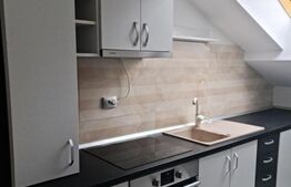 Apartament 1 camera, 35 mp, zona Copou