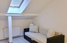 Apartament 1 camera, 35 mp, zona Copou