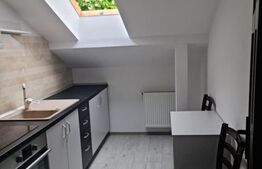 Apartament 1 camera, 35 mp, zona Copou