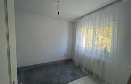 Casă modernă de închiriat, 100 mp, Bucium