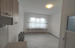 Camera camin, 17 mp, zona Bularga