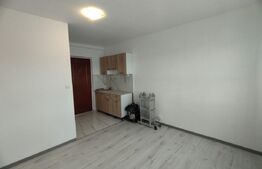 Camera camin, 17 mp, zona Bularga