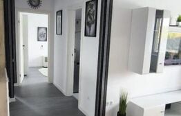 Apartament 2 camere Hlincea - Visani