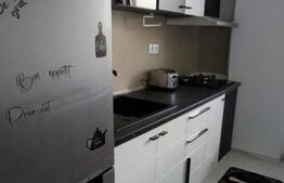 Apartament 2 camere Hlincea - Visani