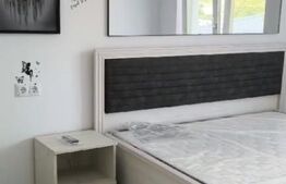 Apartament 2 camere Hlincea - Visani