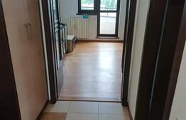 Apartament 2 camere, 40 mp, zona Podul de Fier