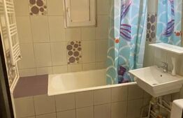 Apartament 2 camere de inchiriat, 45 mp, zona Centru-Palas 