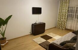 Apartament 2 camere de inchiriat, 45 mp, zona Centru-Palas 