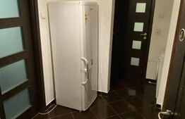 Apartament 2 camere de inchiriat, 45 mp, zona Centru-Palas 