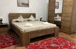 Apartament de inchiriat 1 camera, 43 mp, zona Gara