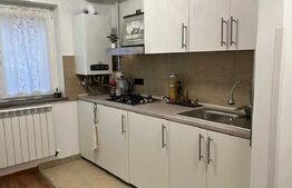 Apartament de inchiriat 1 camera, 43 mp, zona Gara