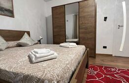 Apartament de inchiriat 1 camera, 43 mp, zona Gara