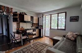 Apartament 3 camere de închiriat, 50 mp, strada Pacurari