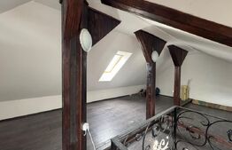 Casa pe 4 nivele, 11 camere, 366mp utili, zona Bucium