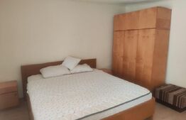 Apartament 1 camera la casa, 40 mp, zona Tatarasi