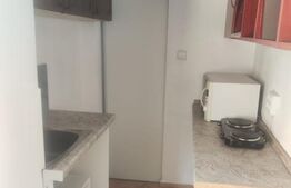 Apartament 1 camera la casa, 40 mp, zona Tatarasi
