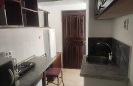 Apartament 1 camera la casa, 40 mp, zona Tatarasi