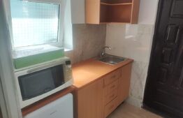 Apartament 1 camera la casa, 40 mp, zona Tatarasi 