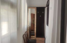 Apartament 1 camera la casa, 40 mp, zona Tatarasi 